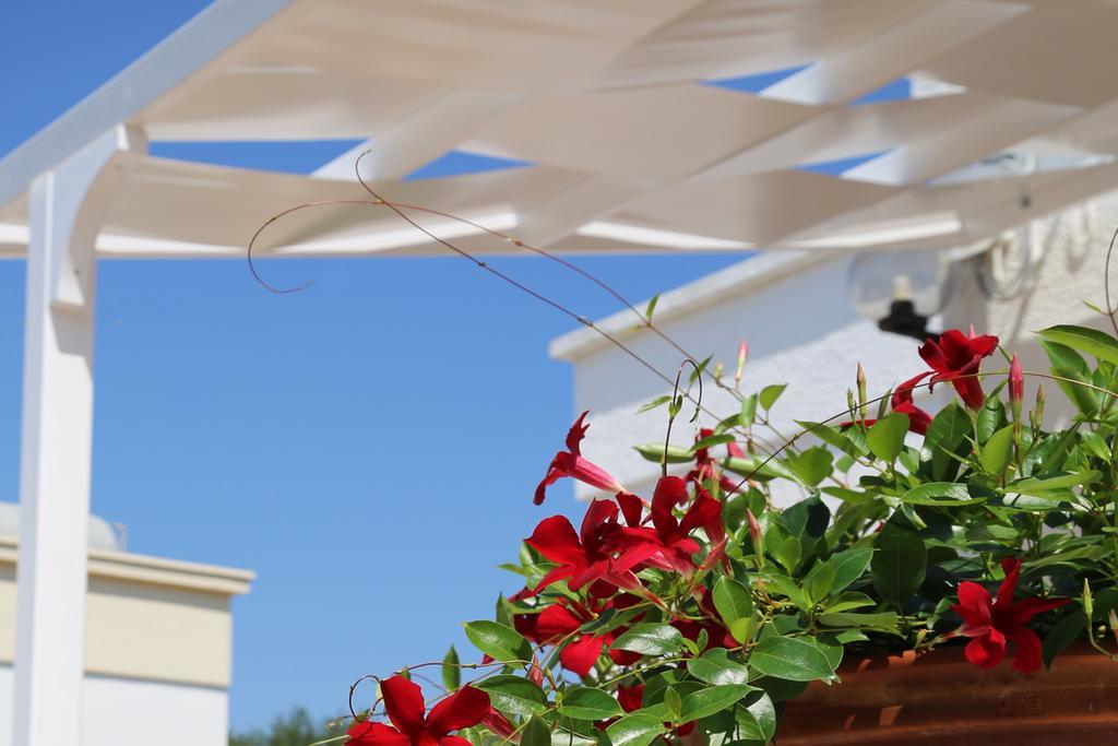 Mare Relax Βίλα Lido Marini Εξωτερικό φωτογραφία