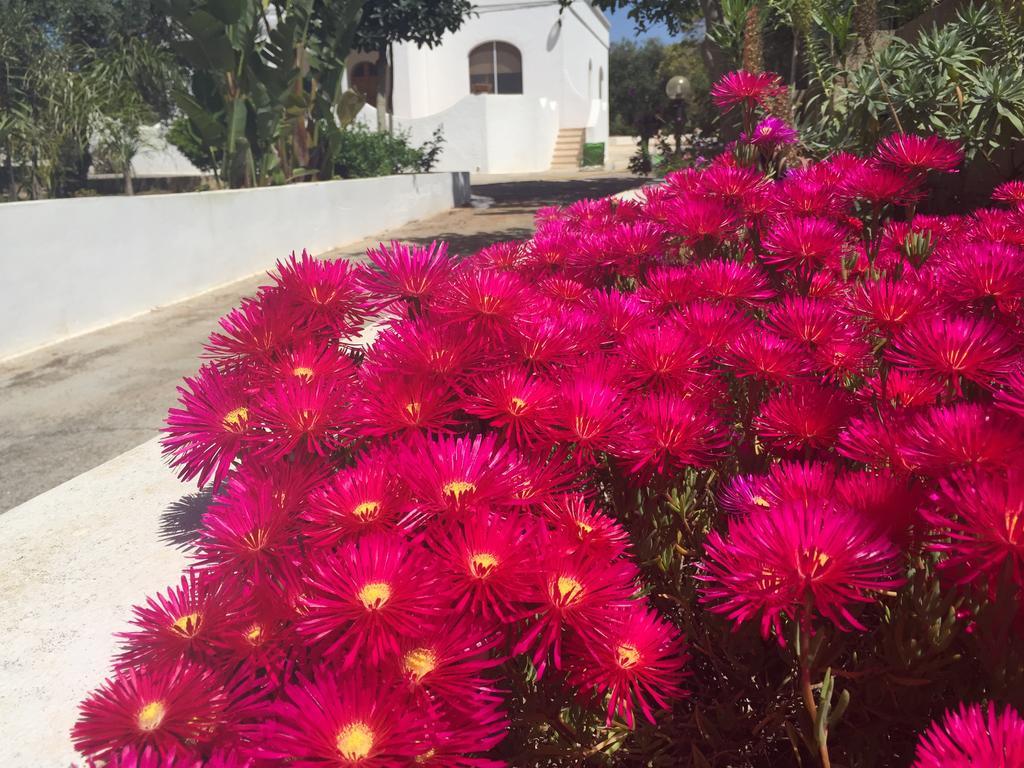 Mare Relax Βίλα Lido Marini Εξωτερικό φωτογραφία